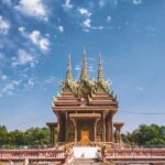 Nepal: 4 Days Lumbini Tilaurakot Buddhist Circuit Tour - Who Is This Tour Best For?