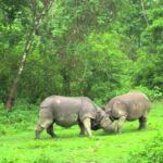 Nepal Highlights Tour - From Kathmandu to Pokhara: The Gateway to Mountain Views