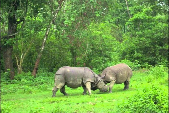 Nepal Highlights Tour - From Kathmandu to Pokhara: The Gateway to Mountain Views