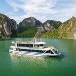 New 5 Star Sea Lion Cruise to Halong Bay from Hanoi with Buffet - The Cruise Itinerary: What to Expect