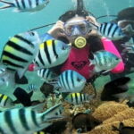 Nha Trang Coral Adventure Snorkeling and Floating Bar Experience - What’s Included and What’s Not