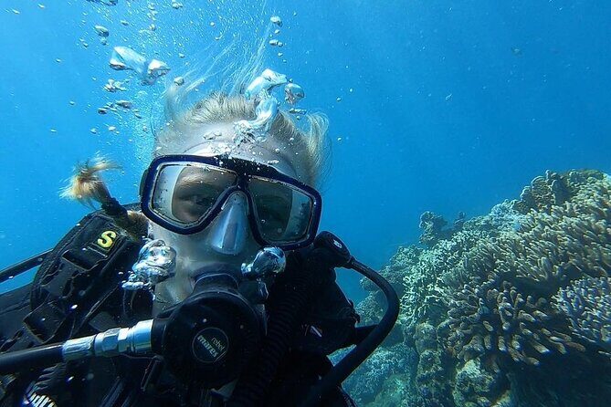 Nha Trang Diving at Mun Island full day tour - The Booking and Price Value