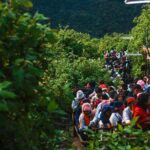 Night Hike to Adam's Peak - The Sum Up
