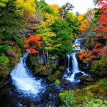 Nikko Private Day Trip with English Speaking Driver From Tokyo - The Sum Up