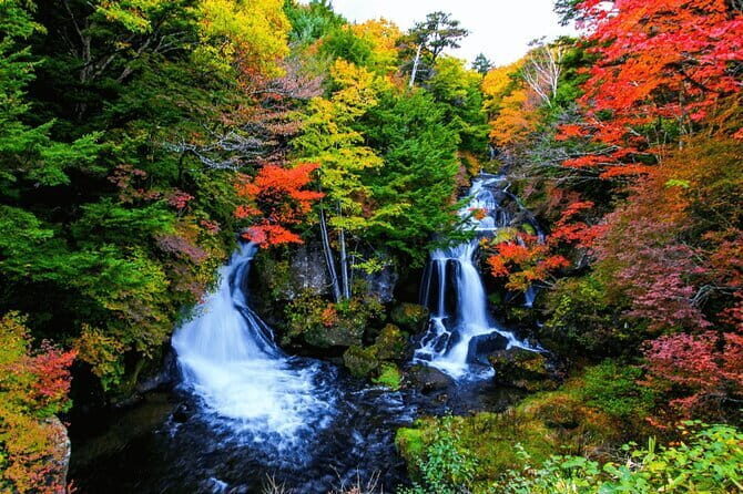 Nikko Private Day Trip with English Speaking Driver From Tokyo - The Sum Up