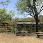 Nikko Private Tour With English Speaking Driver - Considering the Logistics: What You Get for Your Money