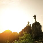 Ninh Binh Bai Dinh Trang An Mua Cave 1 Day Tour from Hanoi - Practical Aspects and Value