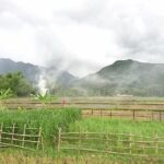 Ninh Binh Daily Tour All-Inclusive Bus, Guide, Lunch & Activities - Who Should Consider This Tour?