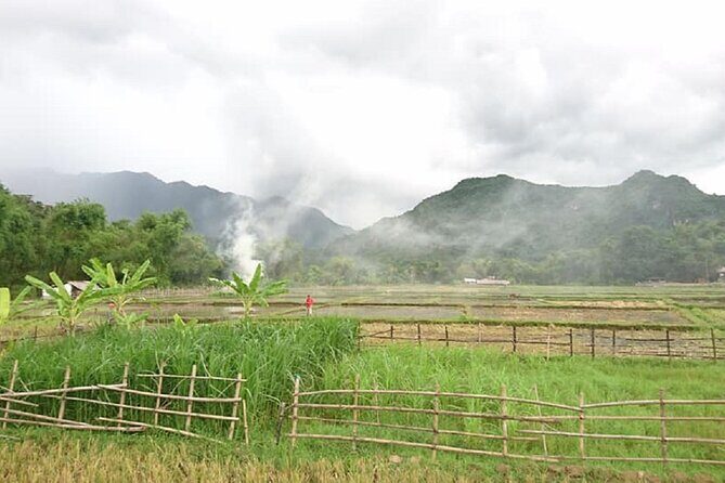 Ninh Binh Daily Tour All-Inclusive Bus, Guide, Lunch & Activities - Who Should Consider This Tour?
