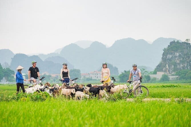 Ninh Binh: Hoa Lu - Tam Coc - Cycling 1 day trip - Practical Aspects: What to Know Before You Go