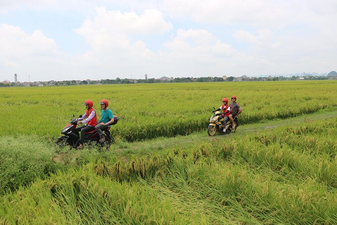 Ninh Binh Motorbike Half Day Rural Village, Rice Paddies - The Sum Up