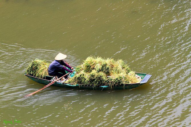 Ninh Binh Private Tour : Bai Dinh Trang An Mua Cave from Hanoi - Who is This Tour Best For?