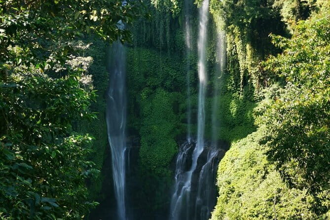 North Bali Sekumpul Waterfall, Banyumala Waterfall & Temple Tour - Practical Insights from Recent Travelers