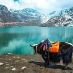 North Sikkim 6 Days Tour - Who Is This Tour Best For?