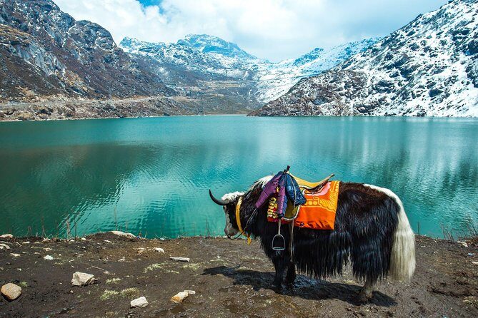 North Sikkim 6 Days Tour - Who Is This Tour Best For?