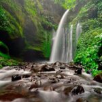 North Waterfall Tour - The Waterfalls: Sendang Gile and Tiu Kelep
