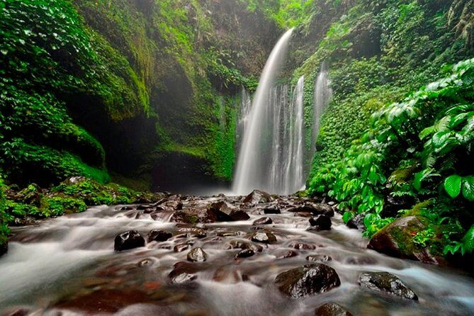 North Waterfall Tour - The Waterfalls: Sendang Gile and Tiu Kelep
