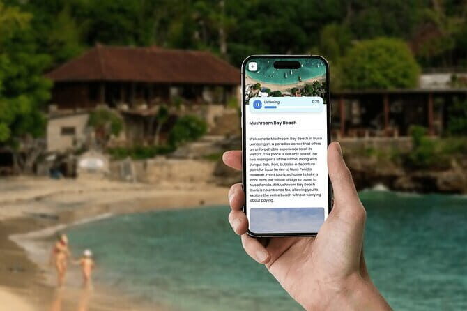 Nusa Lembongan Interactive Tour - Authentic Insights from Travelers