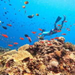Nusa Lembongan Island and Snorkeling Adventure - Pricing and Value