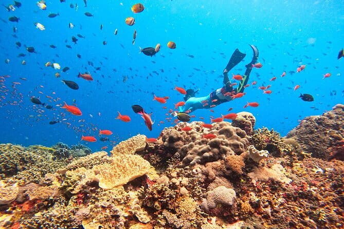 Nusa Lembongan Island and Snorkeling Adventure - Pricing and Value