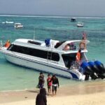 Nusa Penida Island Beach Tours - Authentic Insights from Past Travelers