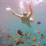 Nusa Penida Private Snorkeling Tour with West Island Trip - The Underwater Wonders: Private Snorkeling in Nusa Penida