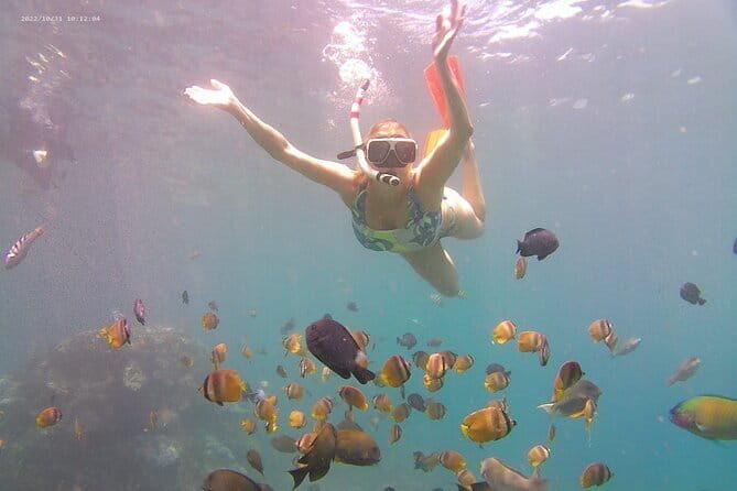 Nusa Penida Private Snorkeling Tour with West Island Trip - The Underwater Wonders: Private Snorkeling in Nusa Penida