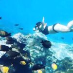 Nusa Penida Snorkeling Tour - Departure From Bali - Final Thoughts: Who Will Love This Tour?