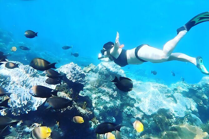 Nusa Penida Snorkeling Tour - Departure From Bali - Final Thoughts: Who Will Love This Tour?