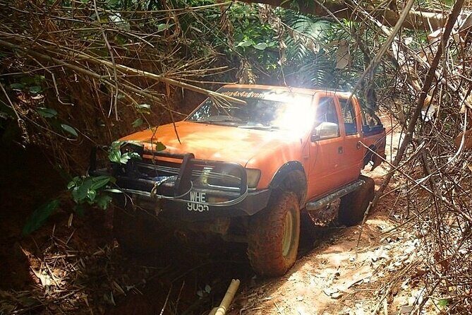 Off-road, Exploration through rainforest Day Tour by 4X4 - What We Loved About This Tour