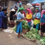 Off The Beaten Track Northeast Vietnam 7 days - Private Tour - Why This Tour Appeals to Travelers