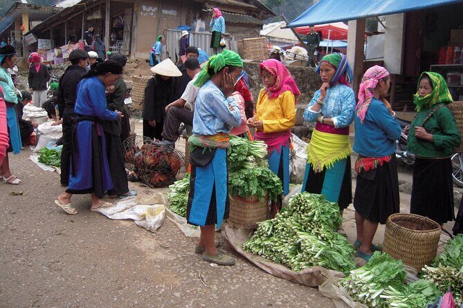 Off The Beaten Track Northeast Vietnam 7 days - Private Tour - Why This Tour Appeals to Travelers
