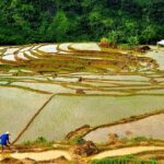 Offbeat Trekking Tour: Pu Luong Nature Reserve 2 days from Hanoi - What Makes This Tour Stand Out?