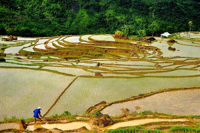 Offbeat Trekking Tour: Pu Luong Nature Reserve 2 days from Hanoi - What Makes This Tour Stand Out?
