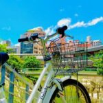 Okinawa E-bike Rental (CityCycle Type) - Key Points