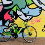 Okinawa E-bike Rental (Sporty Type) - Why Choose This E-bike Experience?