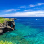 Okinawa Must Visit Coastal Spots Private Day Tour - A Comprehensive Look at the Okinawa Must Visit Coastal Spots Private Day Tour