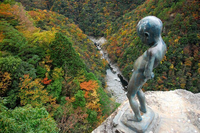 Oku-Iya Cab Plan 6 Hours Course / Tokushima, Shikoku - Final Thoughts: Who Is This Tour Best For?