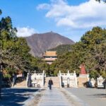 One Day Badaling Great Wall and Dingling Tomb Day Tour - Who Is This Tour Best For?