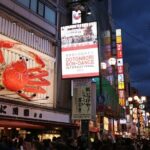 One Day Customized Self-Guided Tour in Osaka - What the Experience Includes and Excludes