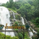 One day Doi Inthanon & Trekking at Pha Dok Siew - Who Should Consider This Tour?