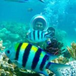 One Day Experiences In The Natural Life Nha Trang - The Forest and Stream Trek