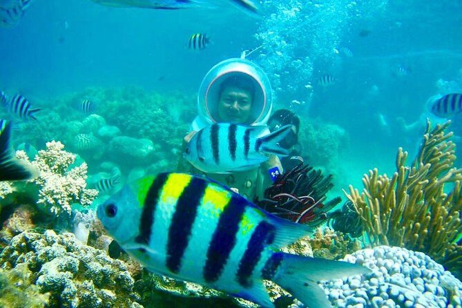 One Day Experiences In The Natural Life Nha Trang - The Forest and Stream Trek