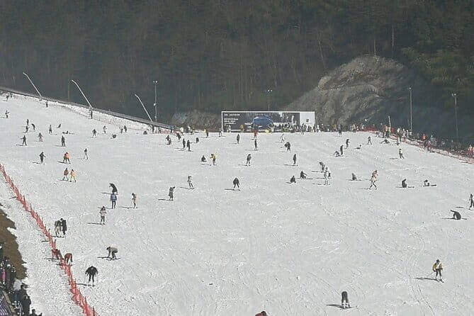 One-day Hangzhou Winter Skiing, Snowboarding and Hot Spring Trip - Who Is This Tour Best For?