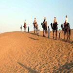 One Day Jaisalmer Tour - Detailed Breakdown of the Itinerary