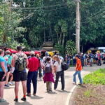 One Day Jungle Trek, Hill Tribe and Bamboo Rafting - The Value of This Tour
