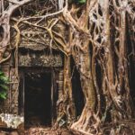One-Day Private Guided Backroads Cycling Tour of Angkor Temples - Detailed Breakdown of the Itinerary