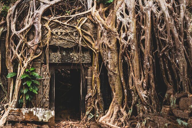 One-Day Private Guided Backroads Cycling Tour of Angkor Temples - Detailed Breakdown of the Itinerary