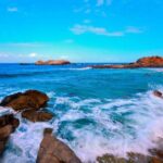 One Day Private Tour of Wuzhizhou Islet - A Detailed Look at the Tour Experience