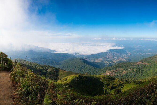 One Day Trekking & Bamboo rafting at Mae wang - What’s Included and What’s Not